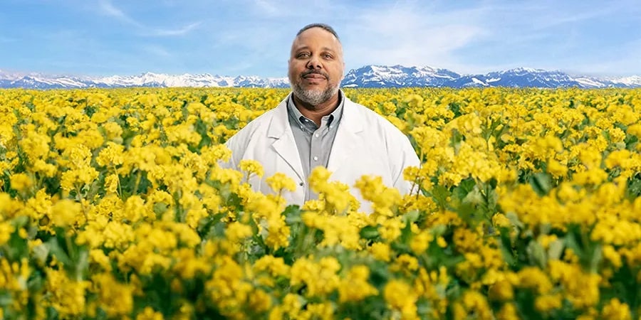The Future Is... Jet Fuel Made From Mustard Seeds