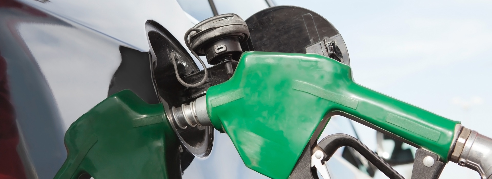 Renewable Fuel
